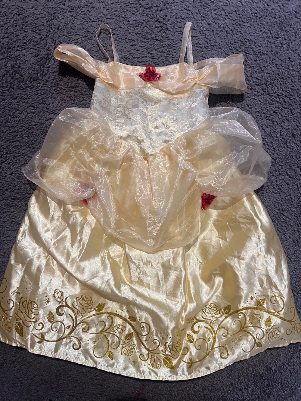 Girls' Gold Princess Costume Dress with Red Rose Accents